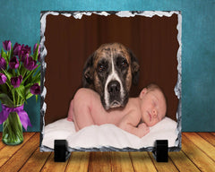 Personalized Photo Pet Slate Plaque , Custom Photo Pet Slate Plaque - 150 TEES GIFTS & MORE